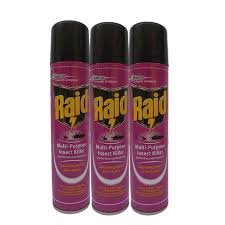 RAID MULTI-PURPOSE INSECTICIDE 300ML